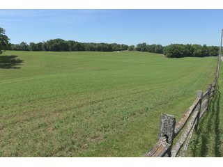TRACT 3 - REAL ESTATE AUCTION - 2 PRESTIGUOUS HOMES - 66+/- ACRES IN 5 TRACTS IN NOBLE COUNTY, INDIANA