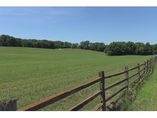 TRACT 3 - REAL ESTATE AUCTION - 2 PRESTIGUOUS HOMES - 66+/- ACRES IN 5 TRACTS IN NOBLE COUNTY, INDIANA