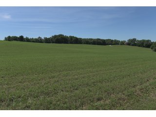 TRACT 3 - REAL ESTATE AUCTION - 2 PRESTIGUOUS HOMES - 66+/- ACRES IN 5 TRACTS IN NOBLE COUNTY, INDIANA