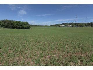 TRACT 2 - REAL ESTATE AUCTION - 2 PRESTIGUOUS HOMES - 66+/- ACRES IN 5 TRACTS IN NOBLE COUNTY, INDIANA