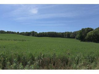 TRACT 1 - REAL ESTATE AUCTION - 2 PRESTIGUOUS HOMES - 66+/- ACRES IN 5 TRACTS IN NOBLE COUNTY, INDIANA