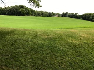 TRACTS 3 & 4 - REAL ESTATE AUCTION - 2 PRESTIGUOUS HOMES - 66+/- ACRES IN 5 TRACTS IN NOBLE COUNTY, INDIANA