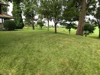 TRACT 4 - REAL ESTATE AUCTION - 2 PRESTIGUOUS HOMES - 66+/- ACRES IN 5 TRACTS IN NOBLE COUNTY, INDIANA