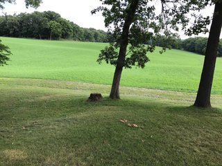 TRACTS 3 & 4 - REAL ESTATE AUCTION - 2 PRESTIGUOUS HOMES - 66+/- ACRES IN 5 TRACTS IN NOBLE COUNTY, INDIANA