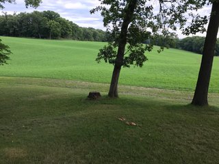 TRACTS 3 & 4 - REAL ESTATE AUCTION - 2 PRESTIGUOUS HOMES - 66+/- ACRES IN 5 TRACTS IN NOBLE COUNTY, INDIANA