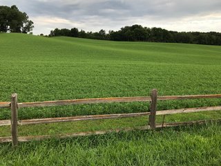 TRACT 3 - REAL ESTATE AUCTION - 2 PRESTIGUOUS HOMES - 66+/- ACRES IN 5 TRACTS IN NOBLE COUNTY, INDIANA