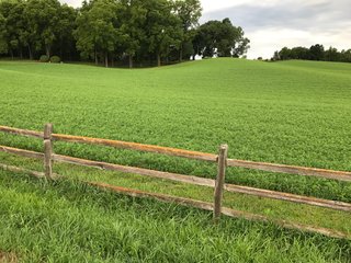 TRACT 4 - REAL ESTATE AUCTION - 2 PRESTIGUOUS HOMES - 66+/- ACRES IN 5 TRACTS IN NOBLE COUNTY, INDIANA
