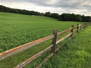 TRACT 3 - REAL ESTATE AUCTION - 2 PRESTIGUOUS HOMES - 66+/- ACRES IN 5 TRACTS IN NOBLE COUNTY, INDIANA