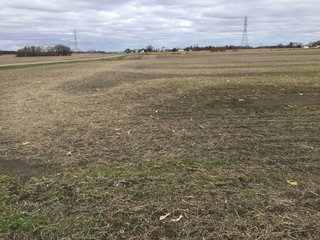 Property photo 17 - REAL ESTATE AUCTION - 336.6+/- ACRES OFFERED IN 10 TRACTS IN WHITLEY COUNTY, INDIANA