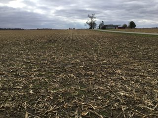 Property photo 12 - REAL ESTATE AUCTION - 336.6+/- ACRES OFFERED IN 10 TRACTS IN WHITLEY COUNTY, INDIANA