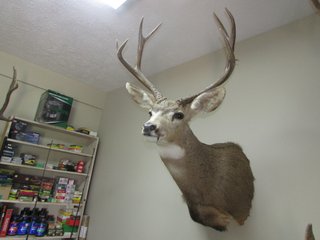 Property photo 237 - REAL ESTATE & PERSONAL PROPERTY AUCTION - 82+/- ACRES IN 3 TRACTS IN KOSCIUSKO COUNTY, INDIANA