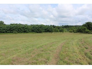 Property photo 6 - REAL ESTATE & PERSONAL PROPERTY AUCTION - 82+/- ACRES IN 3 TRACTS IN KOSCIUSKO COUNTY, INDIANA