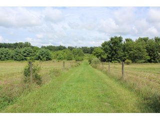Property photo 5 - REAL ESTATE & PERSONAL PROPERTY AUCTION - 82+/- ACRES IN 3 TRACTS IN KOSCIUSKO COUNTY, INDIANA