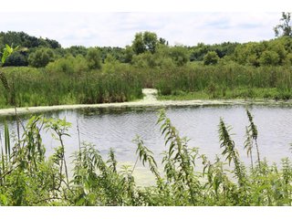 Property photo 7 - REAL ESTATE & PERSONAL PROPERTY AUCTION - 82+/- ACRES IN 3 TRACTS IN KOSCIUSKO COUNTY, INDIANA