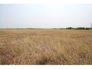 TRACT 3 - LAND AUCTION - 160+/- ACRES OFFERED IN 8 TRACTS IN DEER CREEK, OKLAHOMA