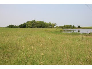 TRACT 4 - LAND AUCTION - 160+/- ACRES OFFERED IN 8 TRACTS IN DEER CREEK, OKLAHOMA
