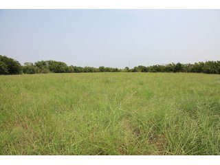 TRACT 4 - LAND AUCTION - 160+/- ACRES OFFERED IN 8 TRACTS IN DEER CREEK, OKLAHOMA