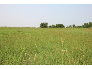 TRACT 4 - LAND AUCTION - 160+/- ACRES OFFERED IN 8 TRACTS IN DEER CREEK, OKLAHOMA