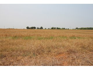 TRACT 5 - LAND AUCTION - 160+/- ACRES OFFERED IN 8 TRACTS IN DEER CREEK, OKLAHOMA