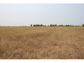 TRACT 6 - LAND AUCTION - 160+/- ACRES OFFERED IN 8 TRACTS IN DEER CREEK, OKLAHOMA