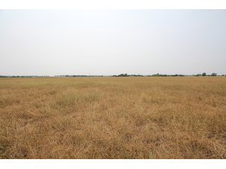 TRACT 7 - LAND AUCTION - 160+/- ACRES OFFERED IN 8 TRACTS IN DEER CREEK, OKLAHOMA