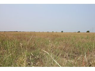 TRACT 8 - LAND AUCTION - 160+/- ACRES OFFERED IN 8 TRACTS IN DEER CREEK, OKLAHOMA
