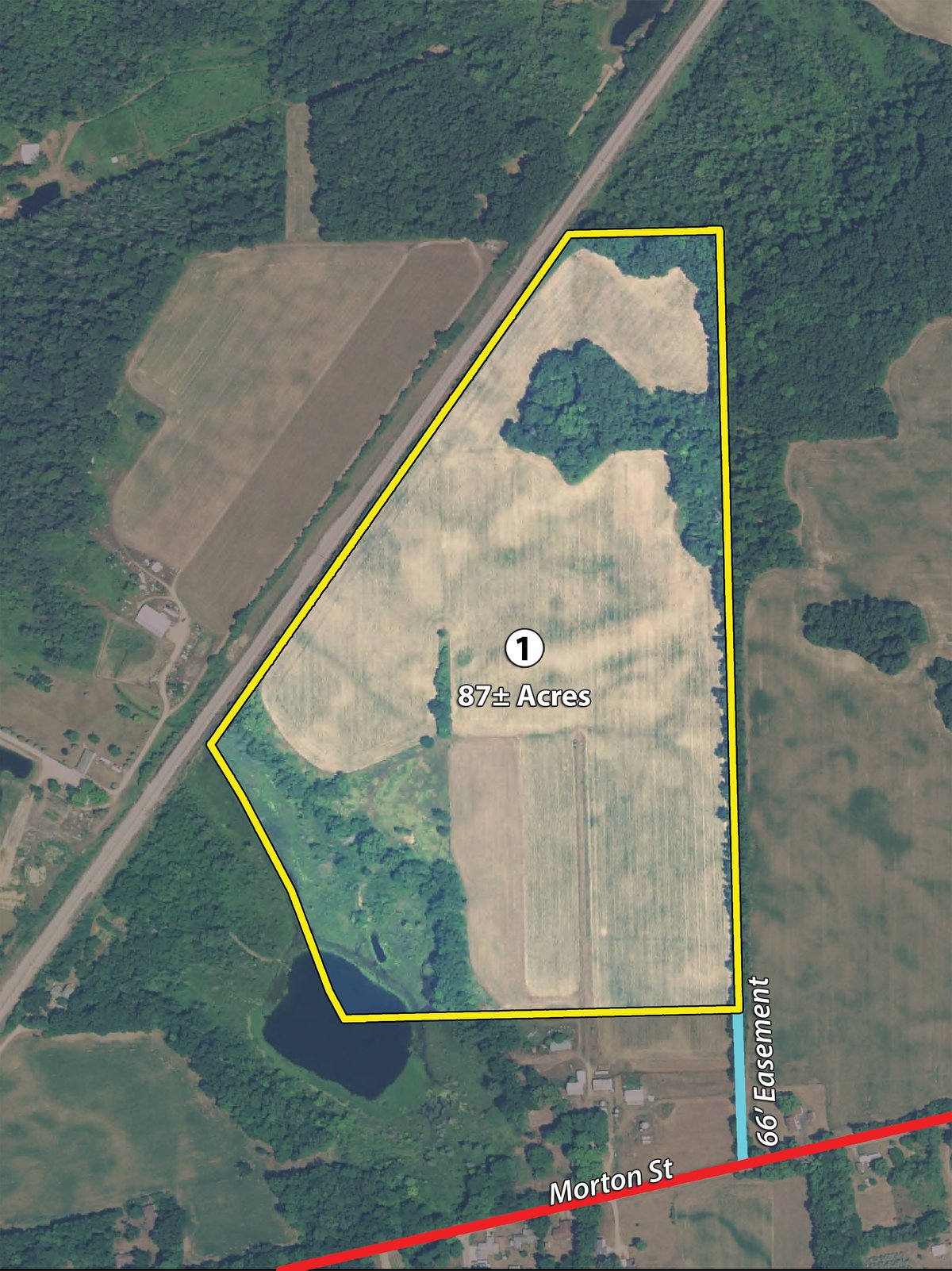 Tract map - LAND AUCTION - 87+/- ACRES IN 1 TRACT IN CASS COUNTY, MICHIGAN