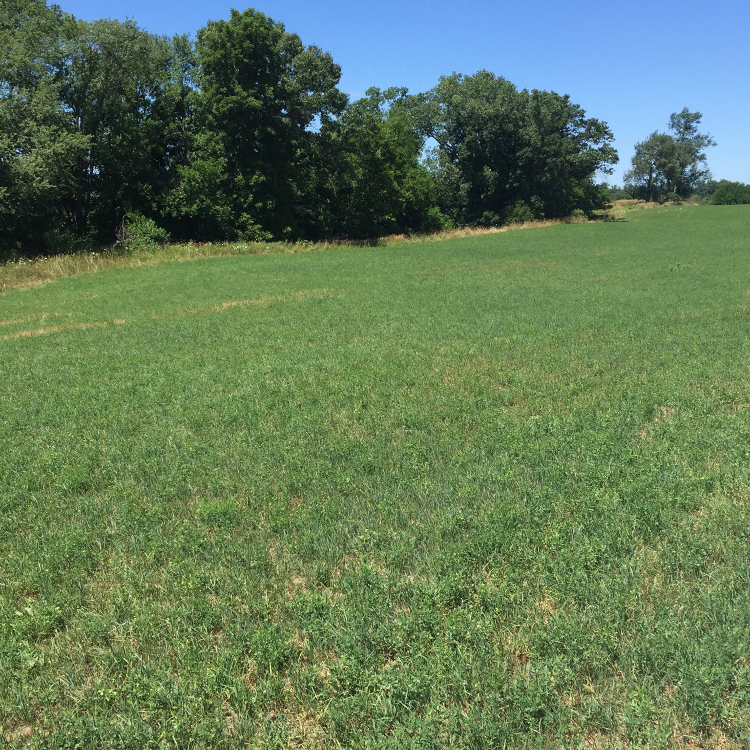Property photo 11 - LAND AUCTION - 87+/- ACRES IN 1 TRACT IN CASS COUNTY, MICHIGAN