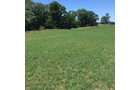 Property photo 11 - LAND AUCTION - 87+/- ACRES IN 1 TRACT IN CASS COUNTY, MICHIGAN