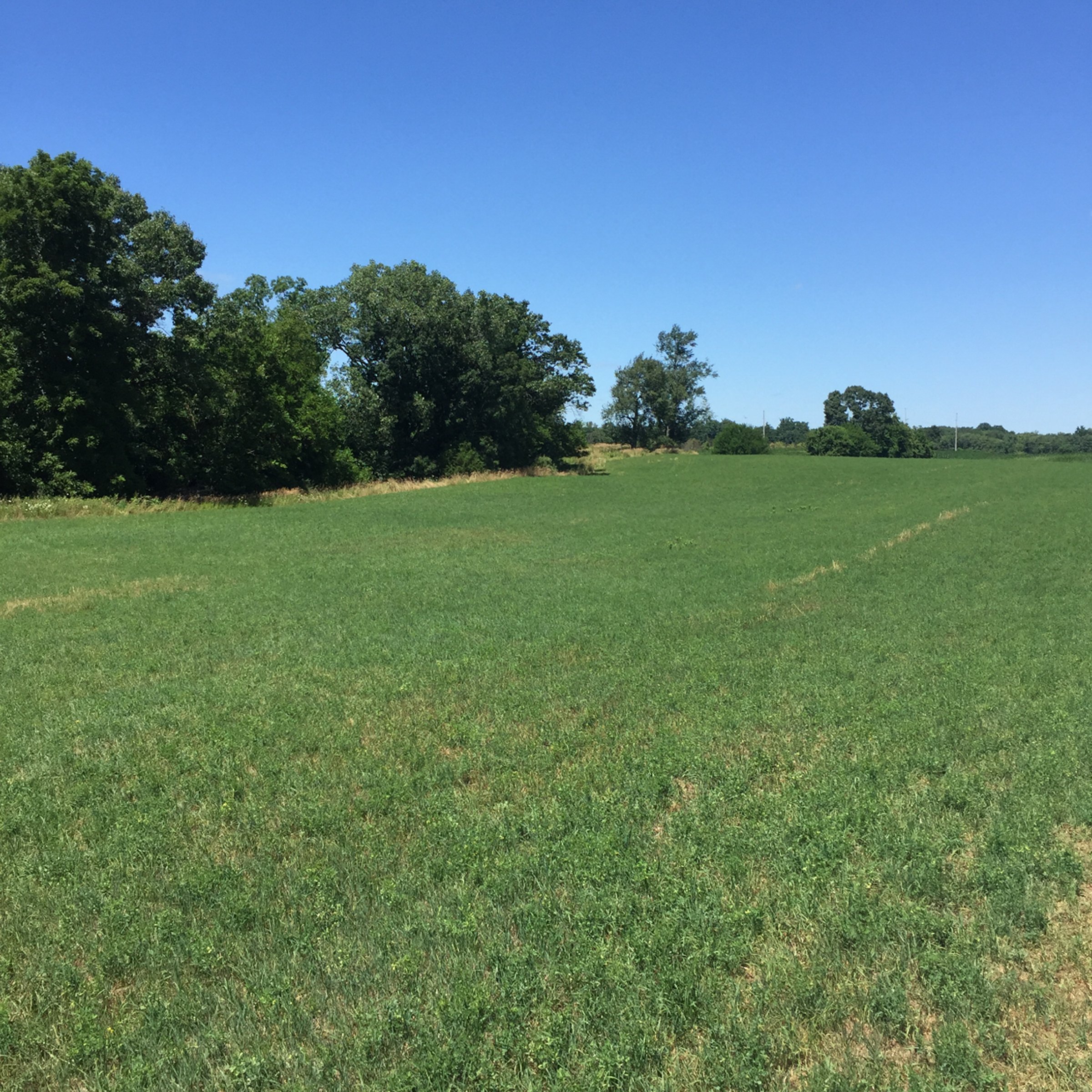 Property photo 8 - LAND AUCTION - 87+/- ACRES IN 1 TRACT IN CASS COUNTY, MICHIGAN