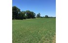 Property photo 8 - LAND AUCTION - 87+/- ACRES IN 1 TRACT IN CASS COUNTY, MICHIGAN