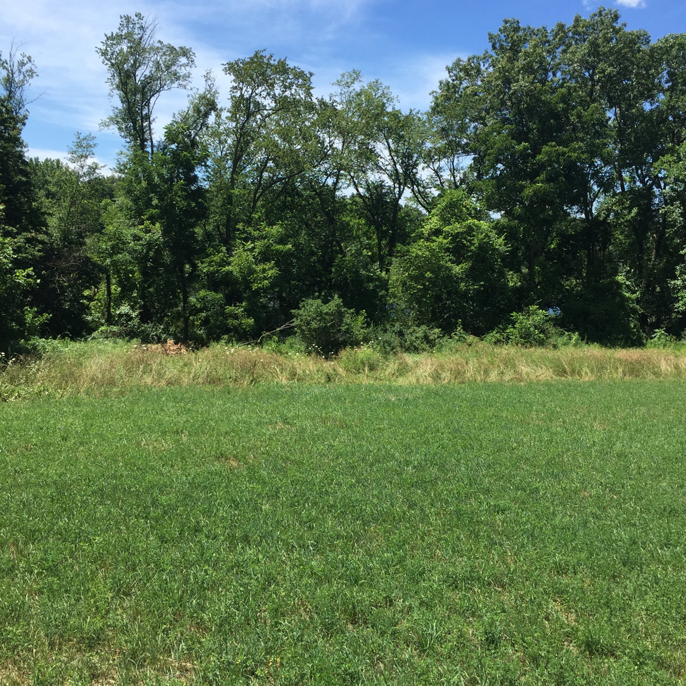 Property photo 15 - LAND AUCTION - 87+/- ACRES IN 1 TRACT IN CASS COUNTY, MICHIGAN