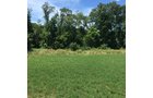 Property photo 15 - LAND AUCTION - 87+/- ACRES IN 1 TRACT IN CASS COUNTY, MICHIGAN
