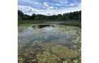 Property photo 14 - LAND AUCTION - 87+/- ACRES IN 1 TRACT IN CASS COUNTY, MICHIGAN