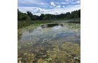 Property photo 16 - LAND AUCTION - 87+/- ACRES IN 1 TRACT IN CASS COUNTY, MICHIGAN