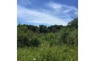 Property photo 1 - LAND AUCTION - 87+/- ACRES IN 1 TRACT IN CASS COUNTY, MICHIGAN