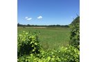 Property photo 9 - LAND AUCTION - 87+/- ACRES IN 1 TRACT IN CASS COUNTY, MICHIGAN