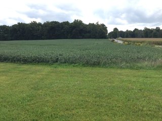 Property photo 22 - REAL ESTATE AUCTION - 116.5+/- ACRES IN 9 TRACTS WITH 2 FARMS IN NOBLE COUNTY, INDIANA