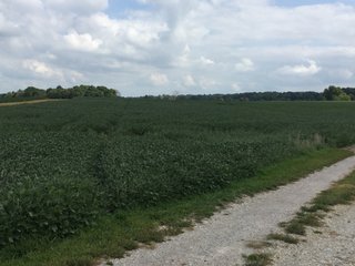 Property photo 24 - REAL ESTATE AUCTION - 116.5+/- ACRES IN 9 TRACTS WITH 2 FARMS IN NOBLE COUNTY, INDIANA