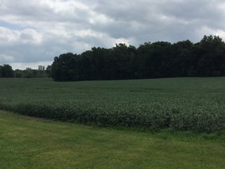 Property photo 26 - REAL ESTATE AUCTION - 116.5+/- ACRES IN 9 TRACTS WITH 2 FARMS IN NOBLE COUNTY, INDIANA