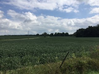 Property photo 23 - REAL ESTATE AUCTION - 116.5+/- ACRES IN 9 TRACTS WITH 2 FARMS IN NOBLE COUNTY, INDIANA