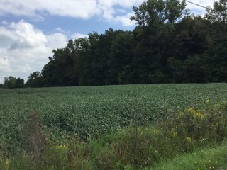 Property photo 25 - REAL ESTATE AUCTION - 116.5+/- ACRES IN 9 TRACTS WITH 2 FARMS IN NOBLE COUNTY, INDIANA