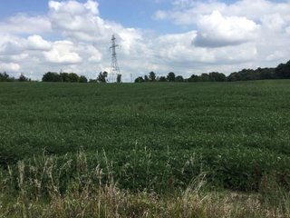 Property photo 20 - REAL ESTATE AUCTION - 116.5+/- ACRES IN 9 TRACTS WITH 2 FARMS IN NOBLE COUNTY, INDIANA