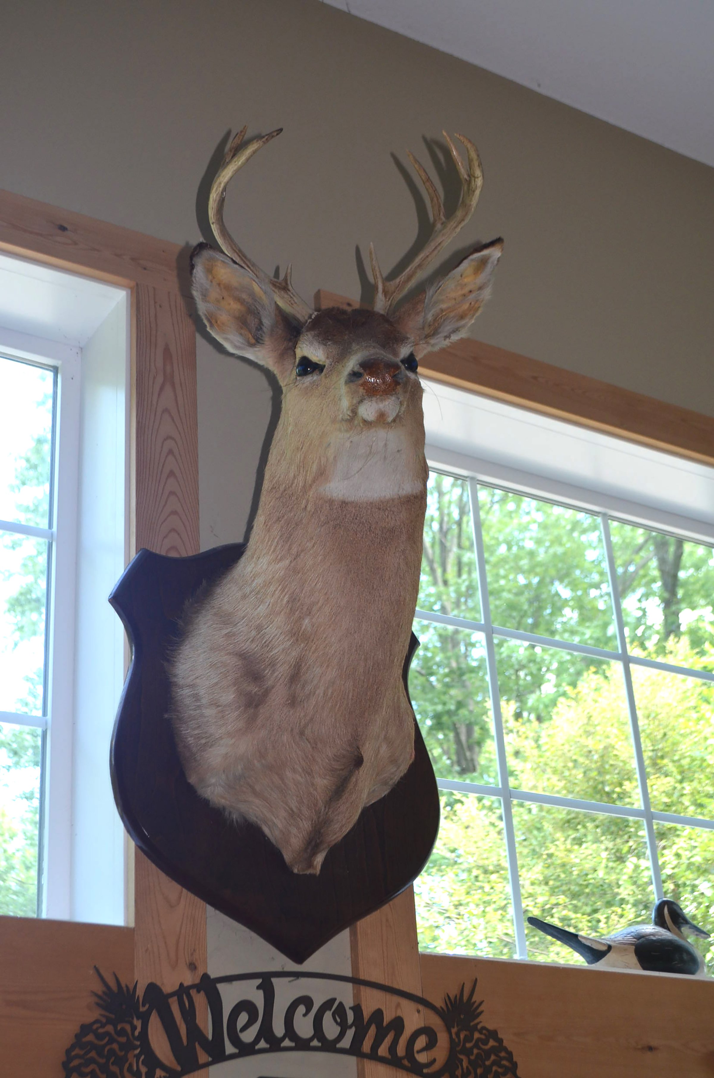 Property photo 82 - PERSONAL PROPERTY AUCTION IN ALLEN COUNTY, INDIANA