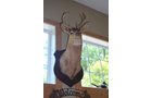 Property photo 82 - PERSONAL PROPERTY AUCTION IN ALLEN COUNTY, INDIANA