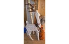 Property photo 48 - PERSONAL PROPERTY AUCTION IN ALLEN COUNTY, INDIANA