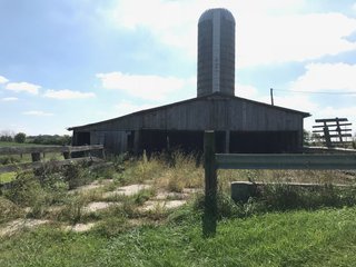 Property photo 26 - LAND AUCTION - 89.5+/- ACRES IN 3 TRACTS IN WILLIAMS COUNTY, OHIO