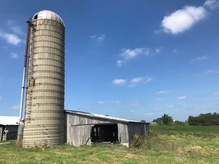 Property photo 29 - LAND AUCTION - 89.5+/- ACRES IN 3 TRACTS IN WILLIAMS COUNTY, OHIO