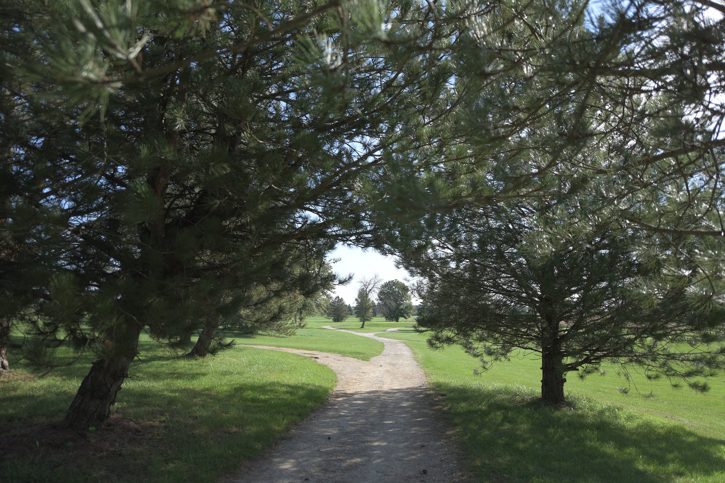 Property photo 43 - MAJOR LAND AUCTION - 251+/- ACRES IN 7 TRACTS - BEECHWOOD GOLF COURSE IN DARKE COUNTY, OHIO