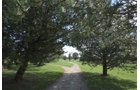 Property photo 43 - MAJOR LAND AUCTION - 251+/- ACRES IN 7 TRACTS - BEECHWOOD GOLF COURSE IN DARKE COUNTY, OHIO